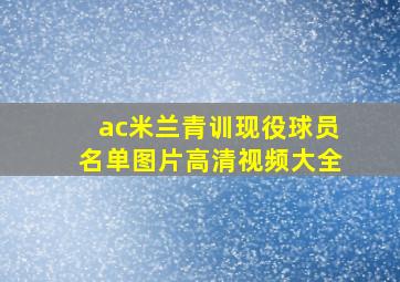 ac米兰青训现役球员名单图片高清视频大全