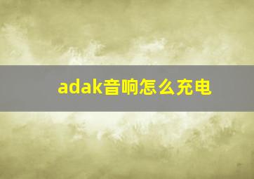 adak音响怎么充电