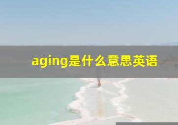 aging是什么意思英语