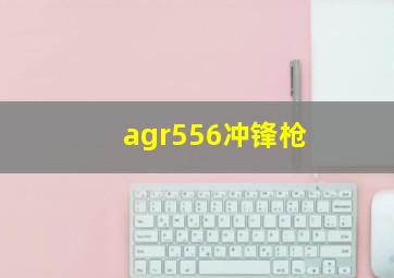 agr556冲锋枪