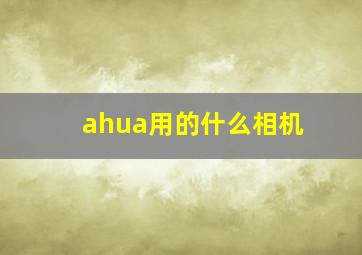 ahua用的什么相机