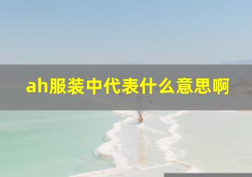 ah服装中代表什么意思啊