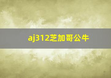 aj312芝加哥公牛