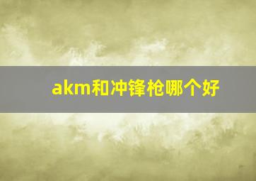 akm和冲锋枪哪个好