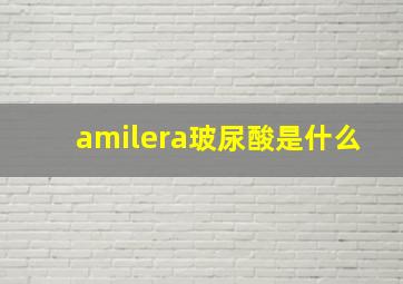 amilera玻尿酸是什么