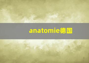 anatomie德国