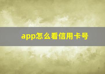 app怎么看信用卡号