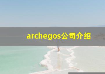 archegos公司介绍