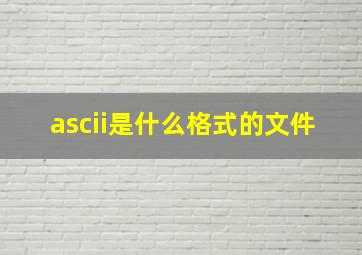 ascii是什么格式的文件