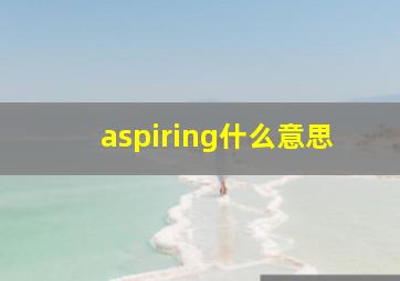 aspiring什么意思