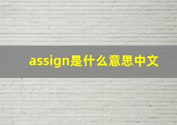 assign是什么意思中文