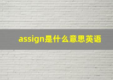 assign是什么意思英语