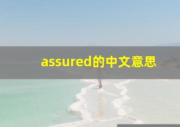 assured的中文意思