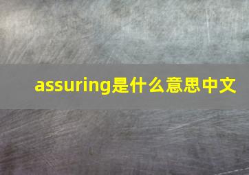 assuring是什么意思中文