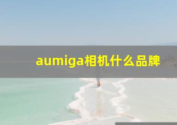 aumiga相机什么品牌