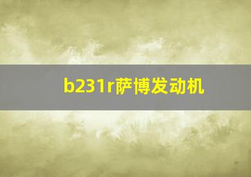 b231r萨博发动机