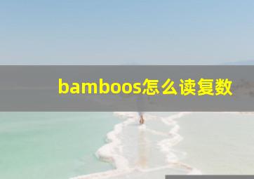 bamboos怎么读复数