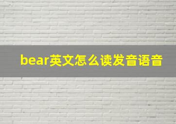 bear英文怎么读发音语音