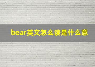 bear英文怎么读是什么意