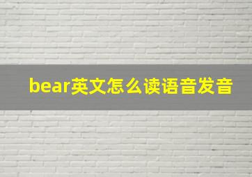 bear英文怎么读语音发音