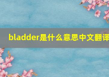 bladder是什么意思中文翻译