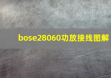 bose28060功放接线图解