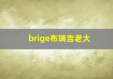 brige布瑞吉老大