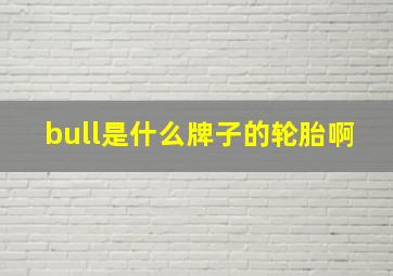 bull是什么牌子的轮胎啊