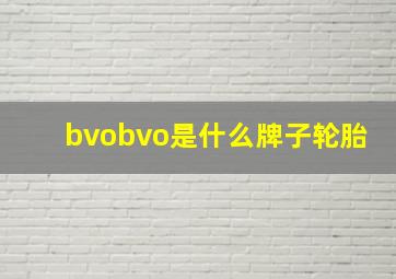 bvobvo是什么牌子轮胎