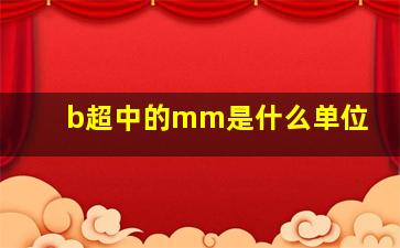 b超中的mm是什么单位