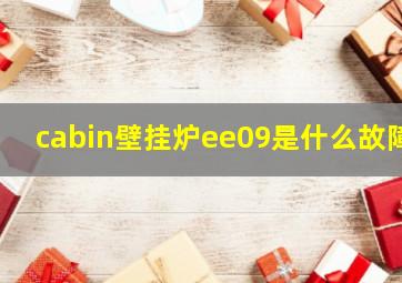 cabin壁挂炉ee09是什么故障