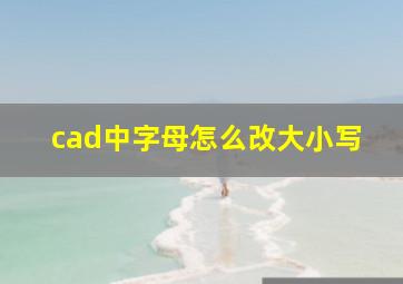 cad中字母怎么改大小写