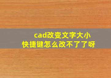 cad改变文字大小快捷键怎么改不了了呀