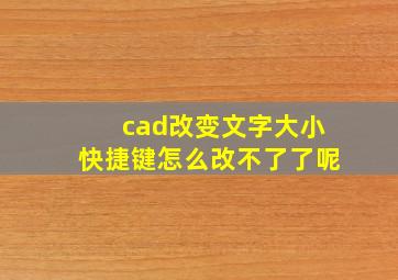 cad改变文字大小快捷键怎么改不了了呢