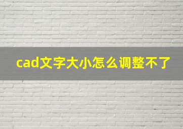 cad文字大小怎么调整不了