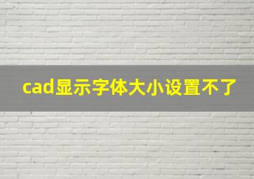 cad显示字体大小设置不了