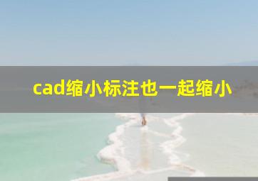 cad缩小标注也一起缩小