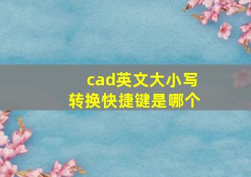 cad英文大小写转换快捷键是哪个