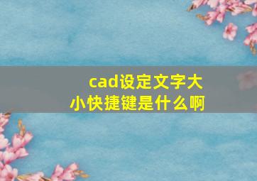 cad设定文字大小快捷键是什么啊