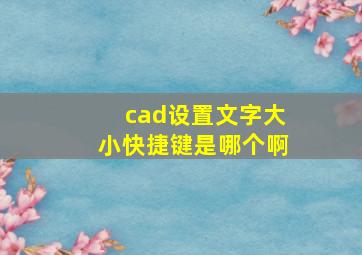 cad设置文字大小快捷键是哪个啊