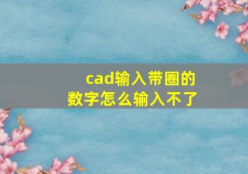 cad输入带圈的数字怎么输入不了