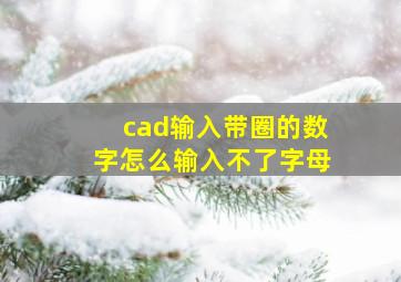 cad输入带圈的数字怎么输入不了字母