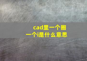 cad里一个圈一个i是什么意思