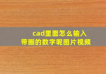 cad里面怎么输入带圈的数字呢图片视频