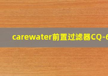 carewater前置过滤器CQ-6型