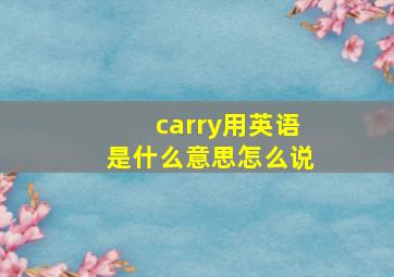 carry用英语是什么意思怎么说