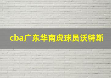 cba广东华南虎球员沃特斯