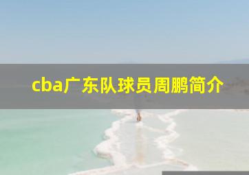 cba广东队球员周鹏简介