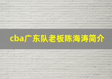 cba广东队老板陈海涛简介