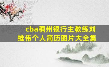 cba稠州银行主教练刘维伟个人简历图片大全集